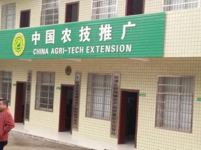 農業技術推廣總站與農業綜合執法大隊 選擇哪個更適合您？