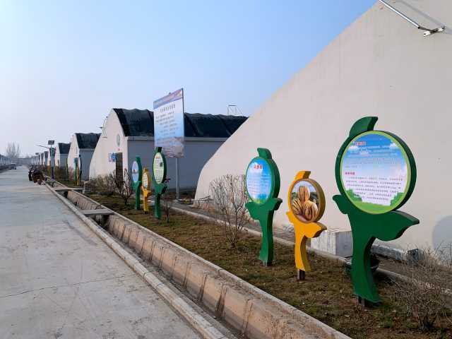 每日一景 山水溝村的美麗蝶變——產業助力發展，農業技術推廣共建美麗鄉村